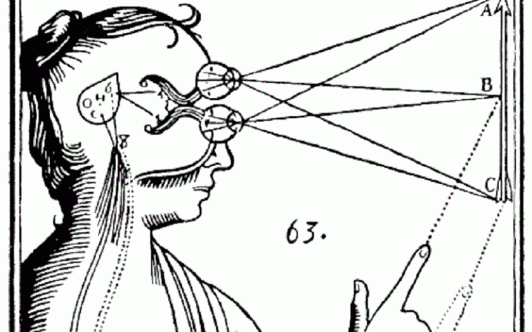Drawing from René Descartes' (1596-1650) in "Treatise of Man" explaining the function of the pineal gland.