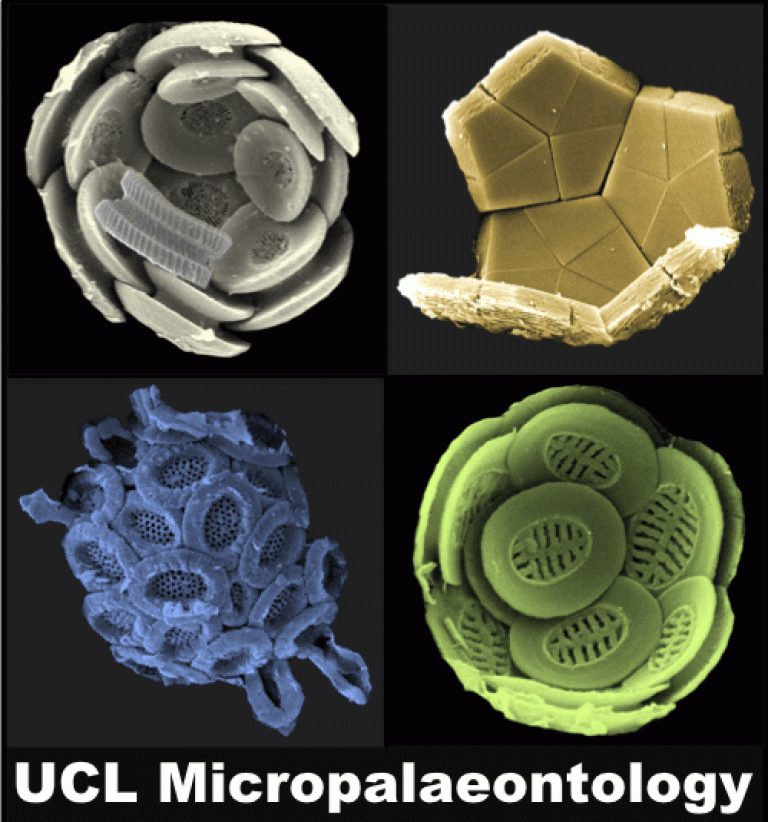 Micropalaeontology Group