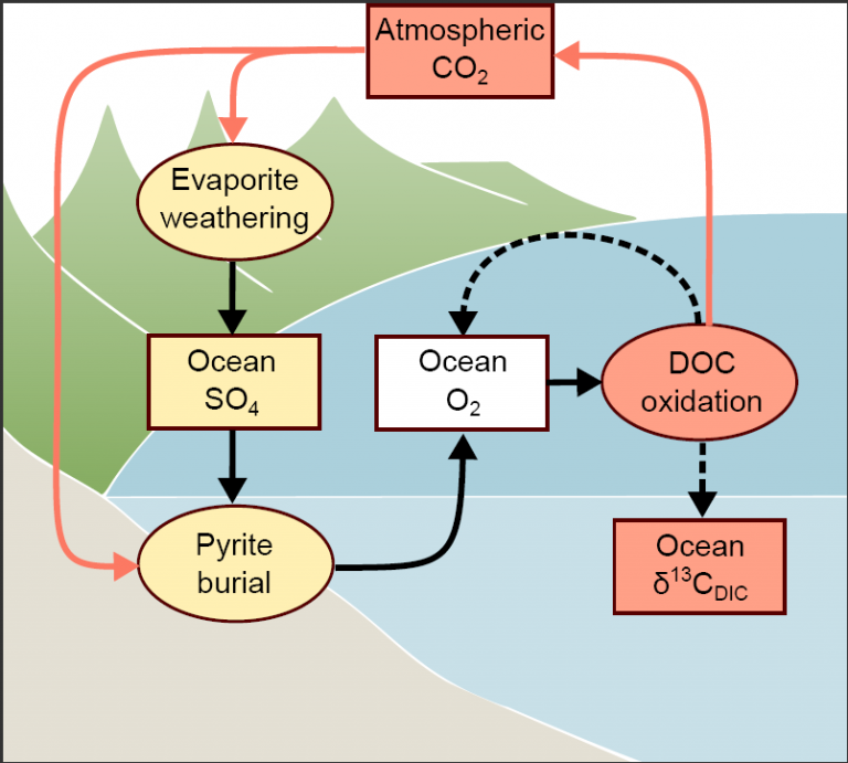 Fig 3: Feedback diagram illustrating the effects of evaporite weathering on ocean oxygenation and δ13C.