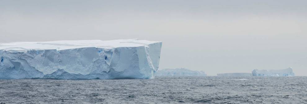Icebergs in the Southern Ocean offshore of East Antarctica 