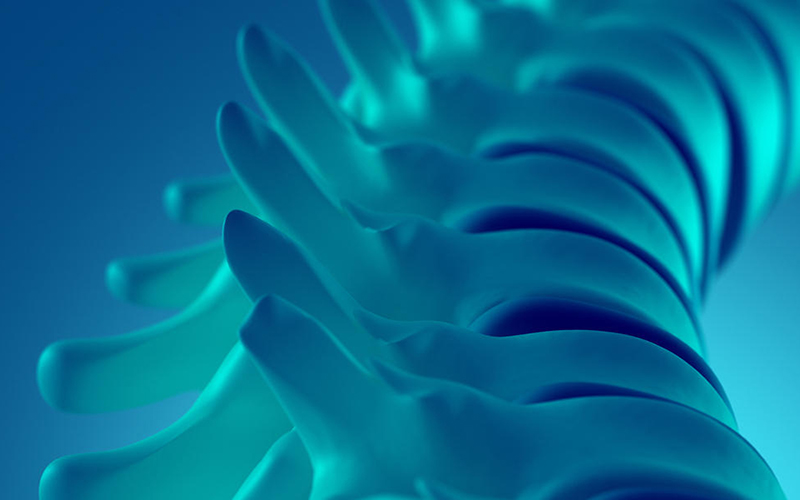 biomaterials and tissue engineering - spine