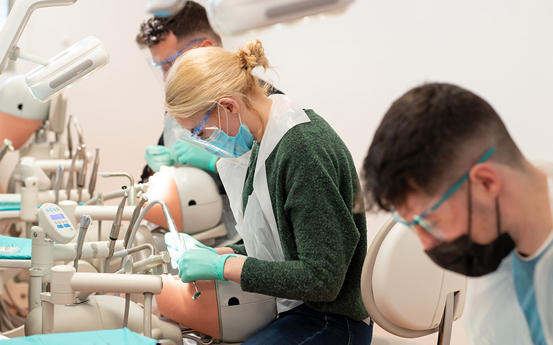 Dental students working with dental mannequins