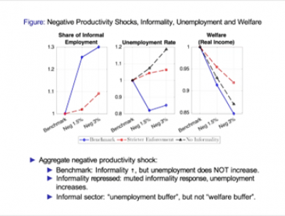 Results from the model: Against negative shocks, an informal sector is a buffer for employment, not welfare