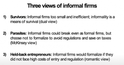 The mainstream views of informal firms