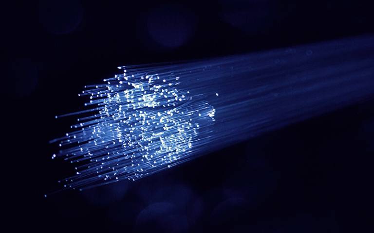 Blue fibre optic cable with white tips.