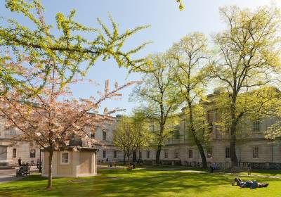 UCL Front Quad image with trees