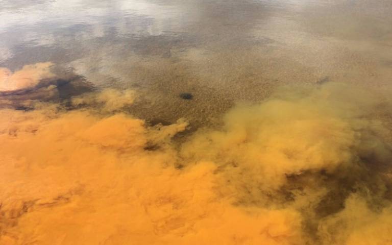 Lake polluted by iron solids