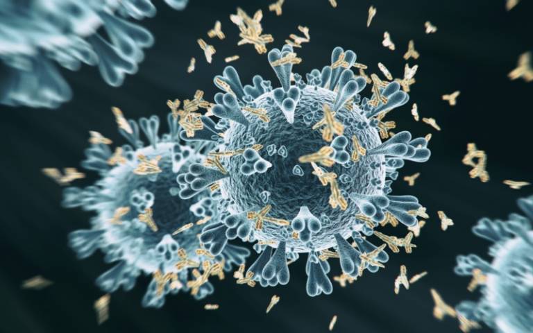 3D rendering of a coronavirus 