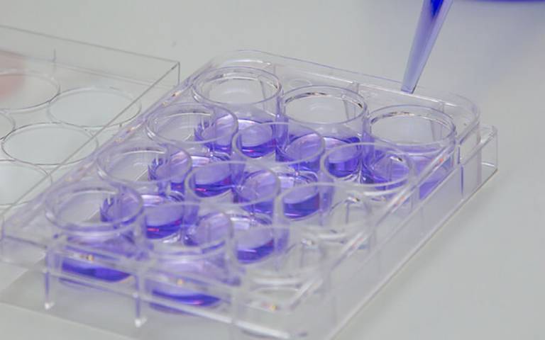 Pipette being used in a science lab