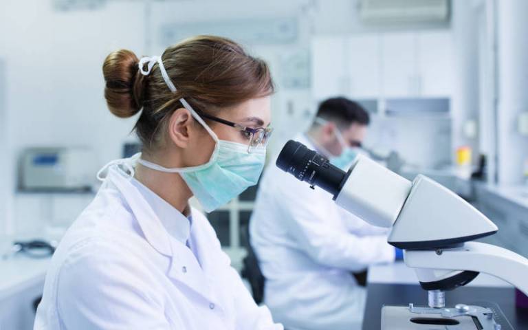 Two scientists using microscopes in laboratory