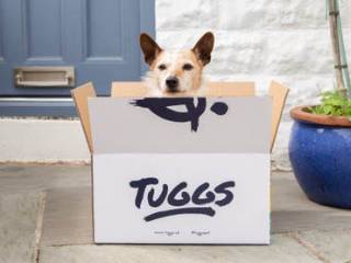 A dog sitting in a Tuggs-branded box next to a house's front door