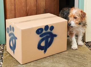 A dog inspecting a cardboard box 