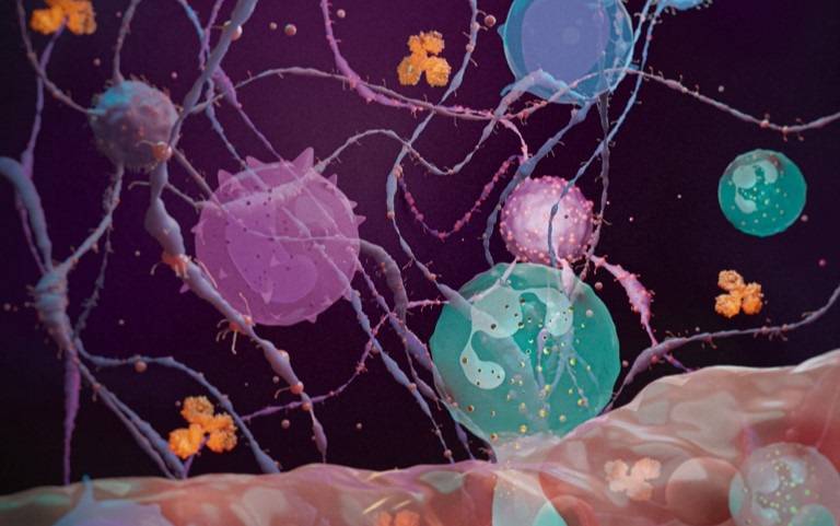 Colourful graphic of microscopic autoimmunity.