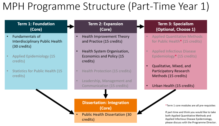 MPH part-time (Y1) structure