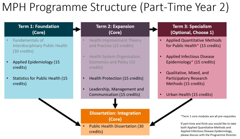 MPH part-time (Y2) structure