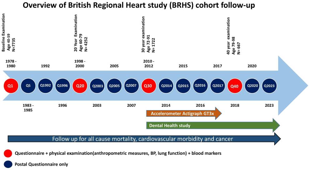 BRHS timeline overview of cohort follow up