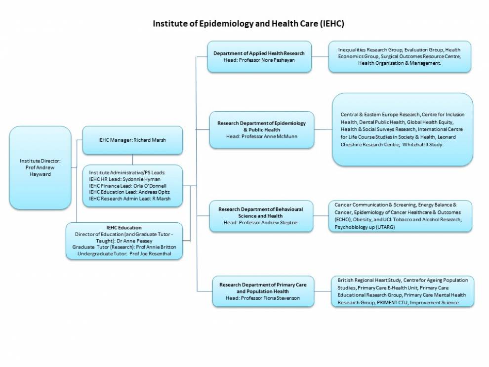 Diagram of IEHC's organisational structure 