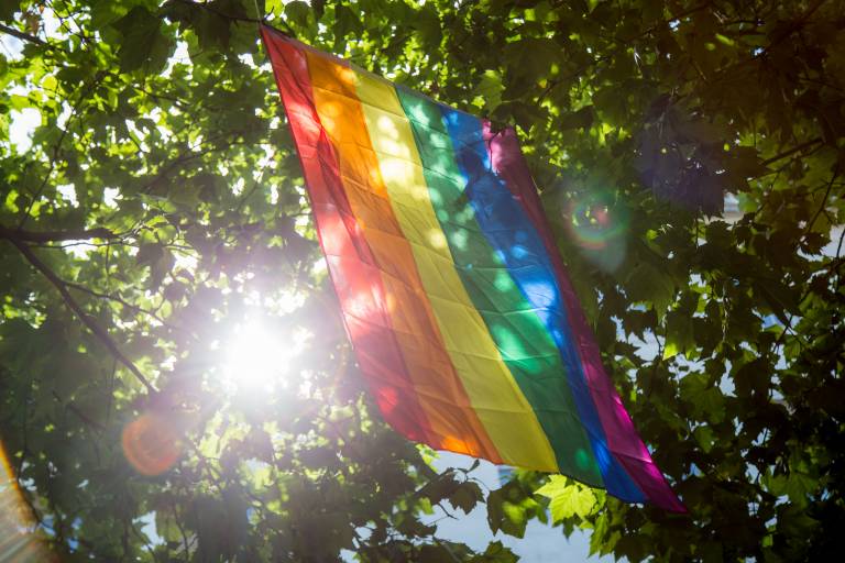 LGBTQ+ rainbow flag hanging from trees