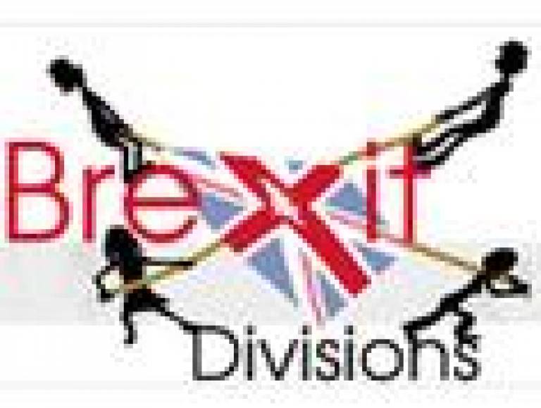 Brexit Divisions 1