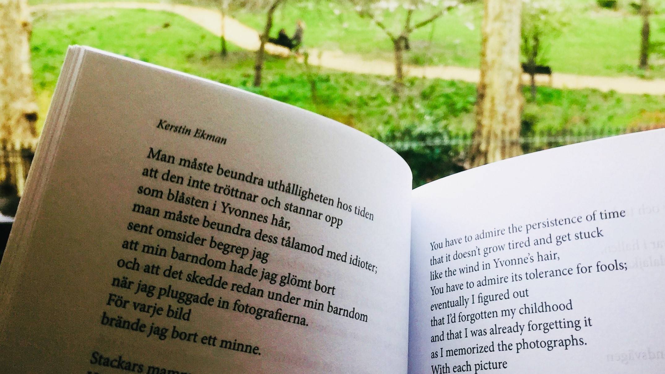 Reading Kerstin Ekman’s Barndom (Childhood), translated from the Swedish by Rochelle Wright for Norvik Press