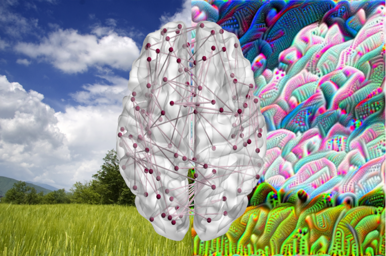 An artistic image of a white brain with red network connections