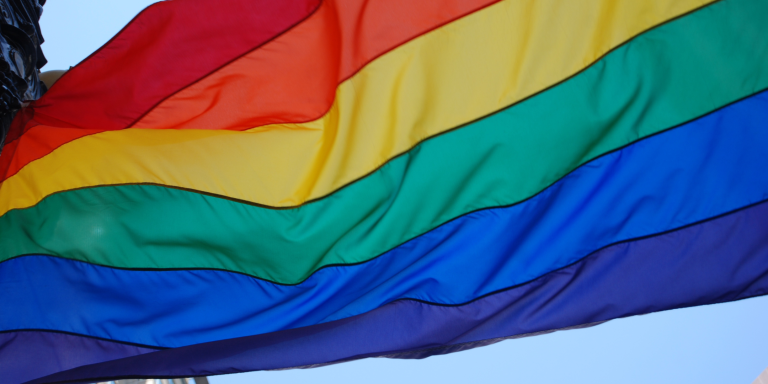 Picture of LGBTQ+ Flag