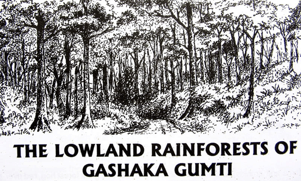 THE LOWLAND RAINFORESTS OF GASHAKA-GUMTI