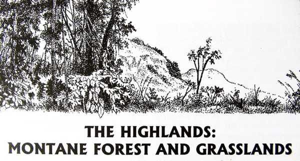 THE HIGHLANDS: MONTANE FOREST & GRASSLAND