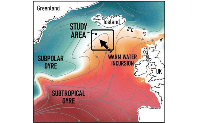 Decline in NE Atlantic cold-water plankton during industrial era