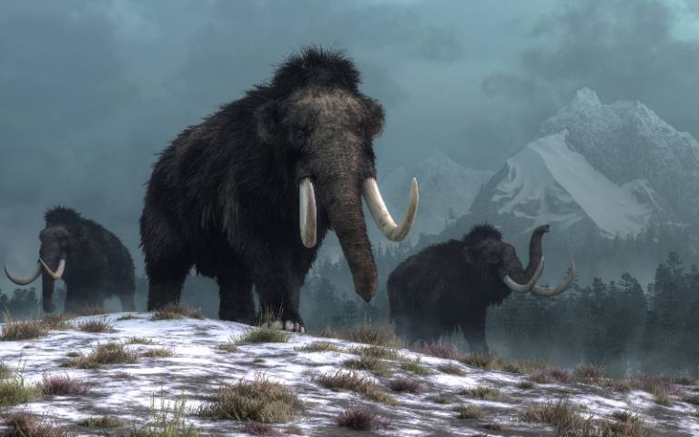 Painting of woolly mammoths by Daniel Eskridge via iStock Photo