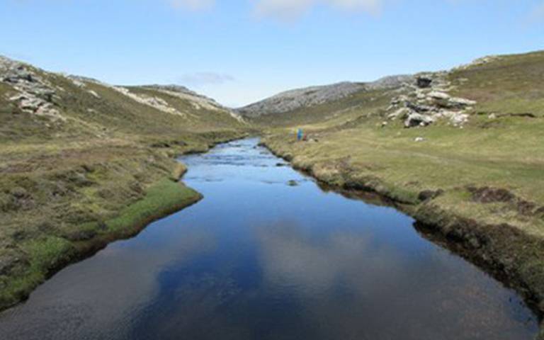 Wetland Research in the Falkland Islands