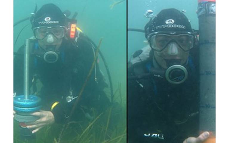 Seagrass loss around the UK higher than previously thought