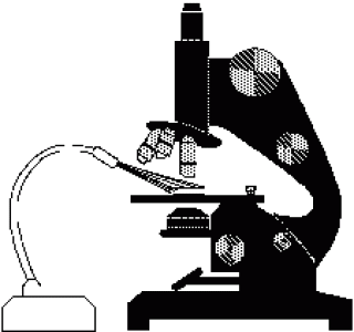 Using a high powered microscope
