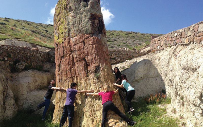 UCL Geography students hugging a fossilised tree on Lesbos