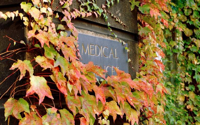 Ivy covering 'Medical Sciences' signage on UCL's Bloomsbury campus
