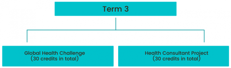 Diagram of the term 3 academic structure