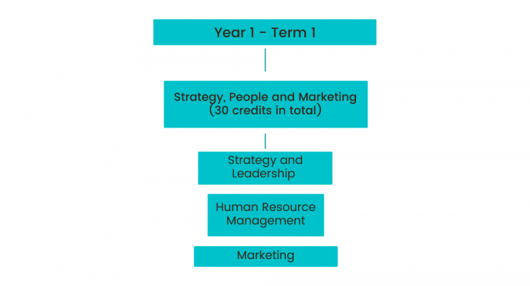 Graphic of Term 1 in year 1