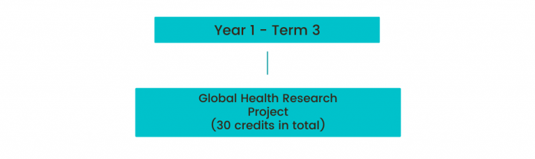 graphic of term 3 year 1