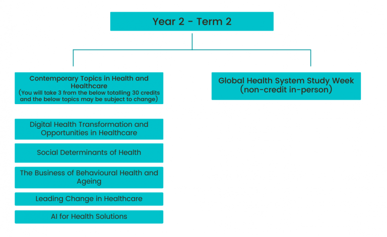 graphic of term 2 year 2