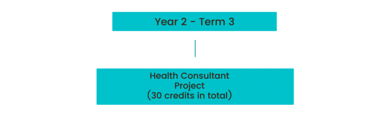 graphic of term 3 year 2
