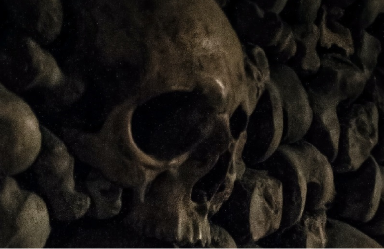 An assortment of human skulls