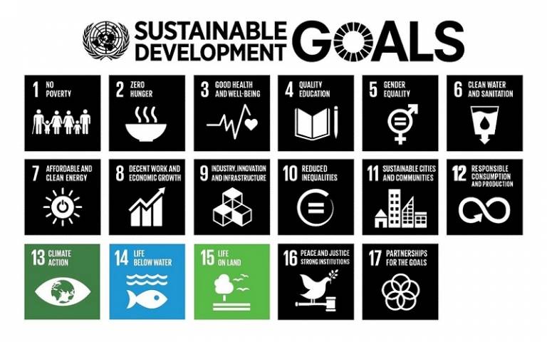 Environmental SDGs