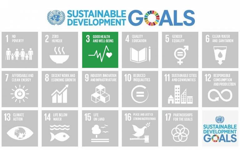 Sustainable Development Goal (SDG) 3