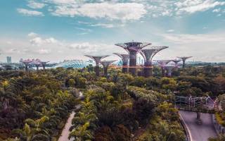 Gardens by the Bay, Singapore (Victor / Unsplash)