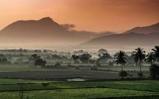 Morning Landscape, Tamil Nadu, India (Remi Clinton / Unsplash)