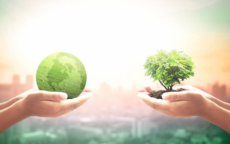 World environment day concept showing two hands holding tree and earth globe