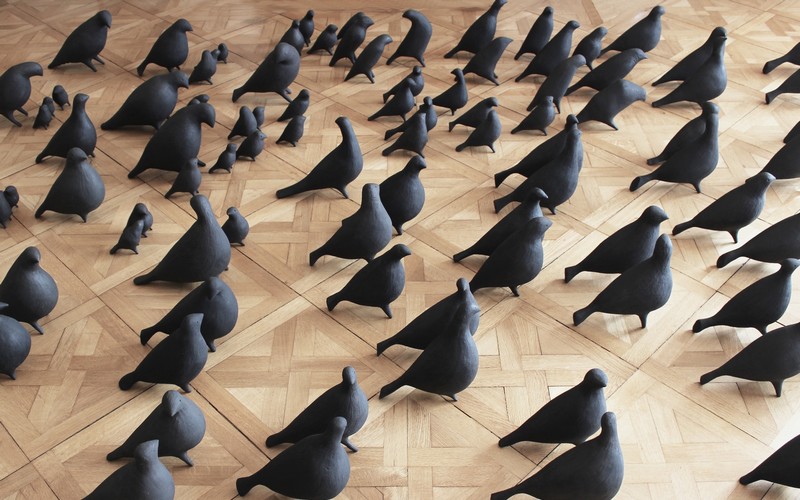 Black ceramic birds on wooden floor
