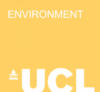 Environment Domain Logo