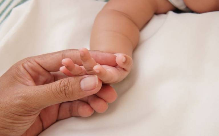 An adult woman's hand holding a baby hand