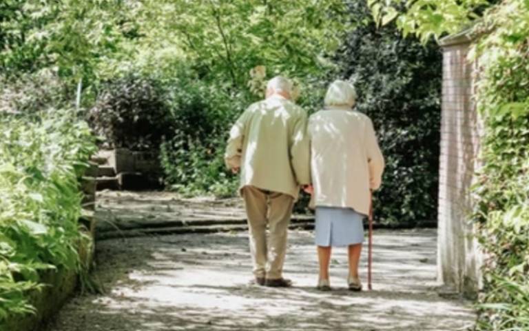2 elderly people stand with their backs to the camera on a nature walk between trees